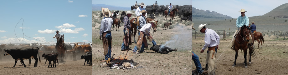 Neil Love Ranch Ropes – J.M. Capriola